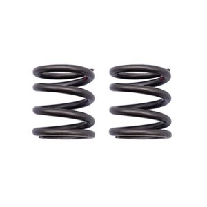 2 pcs 18lbs valves springs for honda gx200, bsp, and most other gx200 ohv clone engines.
