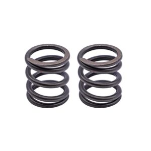 2 Pcs 18LBS Valves Springs for Honda GX200, BSP, and most other GX200 OHV clone engines.