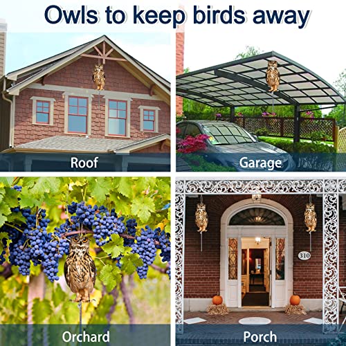 Fake Owls to Keep Birds Away, Bird Scare Device, Bird Scarer, Cardboard Hanging Reflectors, Flat Paper Garden Owls Scare Pigeons Woodpeckers Rodent Goose Away from Porch Patio Garage Tree Pool 4PCS