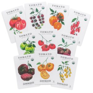 Sereniseed Certified Organic Tomato Seeds (10-Pack) – Non GMO, Open Pollinated – Cherokee Purple, Chocolate Cherry, Green Zebra, Brandywine Pink, Black Krim and More - Tomato Seeds for Planting