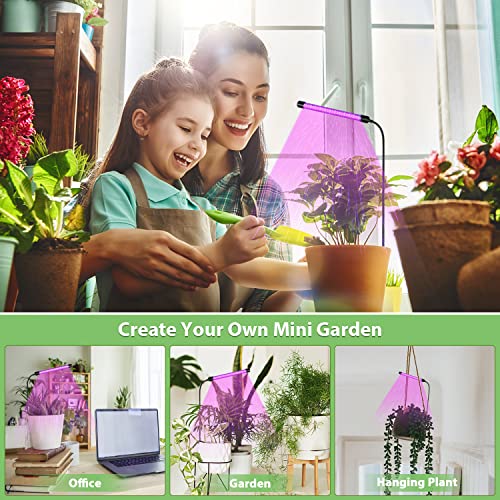 Juhefa Grow Light for Indoor Plants Growing, Red Blue Full Spectrum Gooseneck Sunlight Plant Lamp for Seedings Succulents Small Plants, Timer Function with 5-Level Brightness