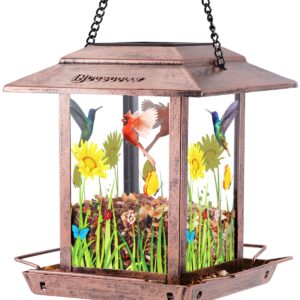 DesGully Bird Feeders for Outdoors Hanging - 2.5 LBs Wild Birds Metal Solar Bird Feeder for Outside Gift Ideas for Bird Lovers Garden Yard Bird Seeds (Chew-Proof,Weather Resistance)