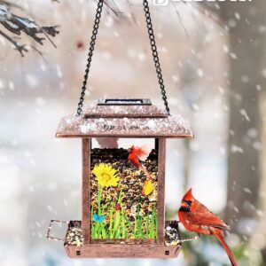 DesGully Bird Feeders for Outdoors Hanging - 2.5 LBs Wild Birds Metal Solar Bird Feeder for Outside Gift Ideas for Bird Lovers Garden Yard Bird Seeds (Chew-Proof,Weather Resistance)