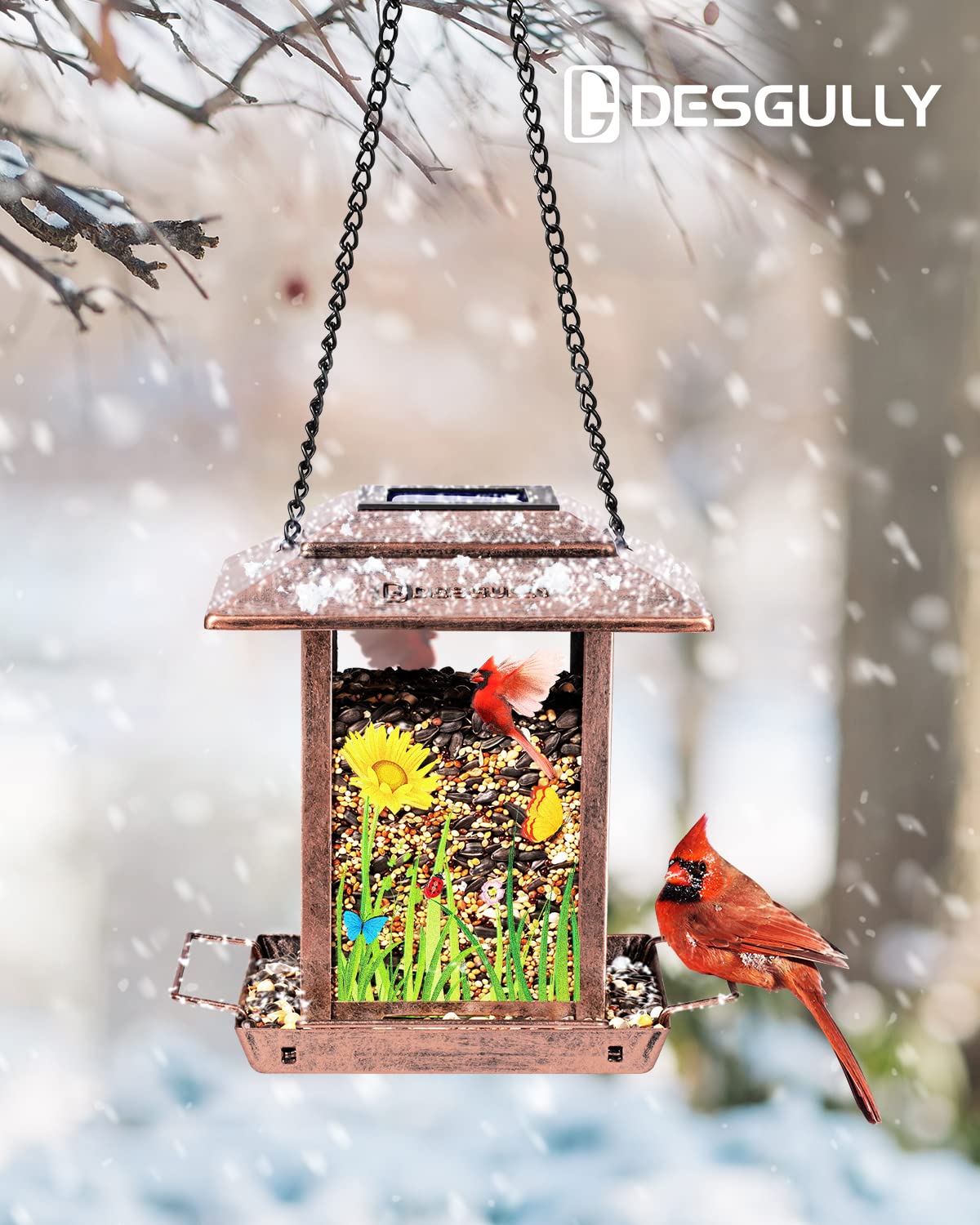 DesGully Bird Feeders for Outdoors Hanging - 2.5 LBs Wild Birds Metal Solar Bird Feeder for Outside Gift Ideas for Bird Lovers Garden Yard Bird Seeds (Chew-Proof,Weather Resistance)