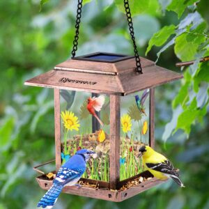 DesGully Bird Feeders for Outdoors Hanging - 2.5 LBs Wild Birds Metal Solar Bird Feeder for Outside Gift Ideas for Bird Lovers Garden Yard Bird Seeds (Chew-Proof,Weather Resistance)