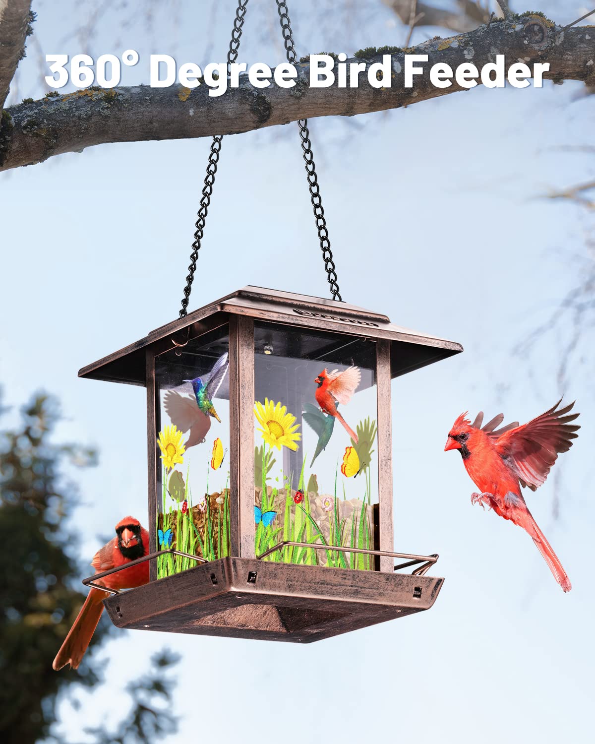 DesGully Bird Feeders for Outdoors Hanging - 2.5 LBs Wild Birds Metal Solar Bird Feeder for Outside Gift Ideas for Bird Lovers Garden Yard Bird Seeds (Chew-Proof,Weather Resistance)