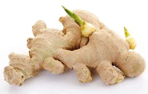 10 live sprouted rhizomes of heirloom peruvian ginger (zingiber officinale) for growing and eating by greenhouse pca