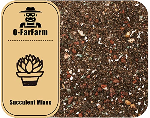 O-FarFarm Succulent Soil Potting Mix 2.2 LBS, Optimized PH Fast Draining with Added Nutrients, Perfect for Small Succulent Pots