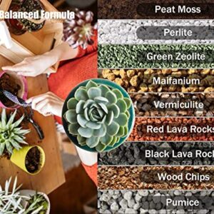 O-FarFarm Succulent Soil Potting Mix 2.2 LBS, Optimized PH Fast Draining with Added Nutrients, Perfect for Small Succulent Pots