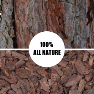 Orchid Bark for Plants Organic Pine Bark for Proper Root Development for Phalaenopsis Cattleyas Dendrobiums Oncidiums Paphiopedilums and More (1qt Medium(12-18mm))