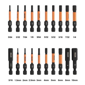 Railer Allen Wrench Hex Bit Set 2 Inch Impact Driver 20pc Hex Bit Set With A Bit Holder & Carabiner. Premium S2 Steel, Ideal For Furniture Screws