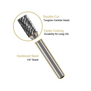 HIDOTOL Carbide Burr Set 1/4" Shank 10PC Tungsten Double Cut Carbide Rotary Burr Set for Metal and Wood Carving, Grinding, Polishing, Engraving, Drilling in Sturdy Round Case.