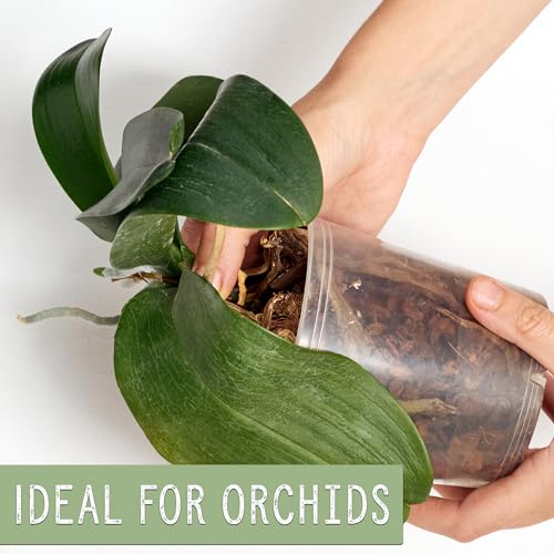 100% Organic Orchid Potting Bark (4 Quarts), All-Natural USA-Sourced Pine Bark Orchid Mix Additive