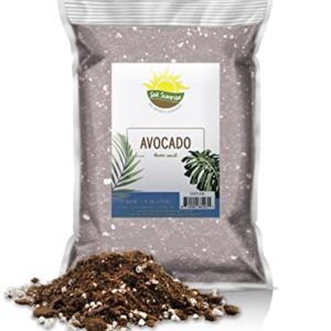 Avocado Tree Potting Soil Mix (12 Quarts), for Germinating, Growing and Repotting Avocado Plants