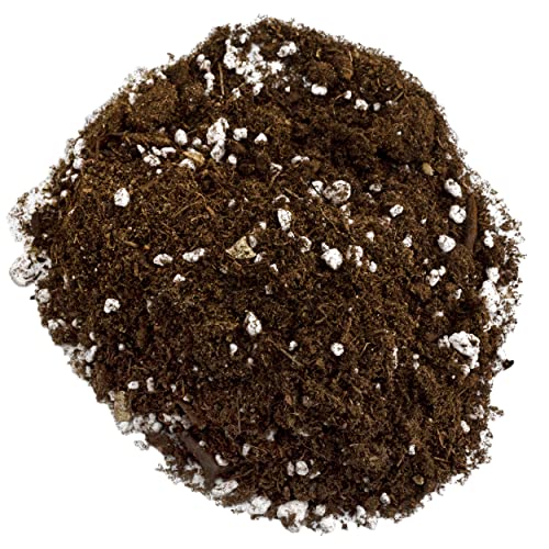 Avocado Tree Potting Soil Mix (12 Quarts), for Germinating, Growing and Repotting Avocado Plants