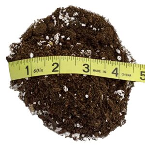 Avocado Tree Potting Soil Mix (12 Quarts), for Germinating, Growing and Repotting Avocado Plants