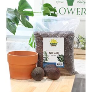 Avocado Tree Potting Soil Mix (12 Quarts), for Germinating, Growing and Repotting Avocado Plants