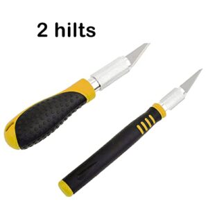 Craft Knife Set, Precision Exacto Utility Art Pumpkin Wood Carving Hobby Knife Blades Making Set Kit, 2 Pc with 14 Blades