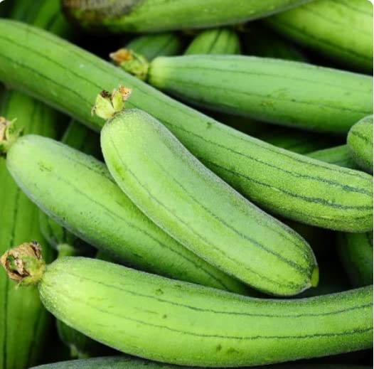 for 2024! Luffa Gourd Seeds/Loofah Gourd Seeds for Planting Vegetables and Fruits.Non-GMO Vegetable Seeds for Planting Home Garden-Loofah Sponge Gourd 丝瓜(10 Loofah Seeds)