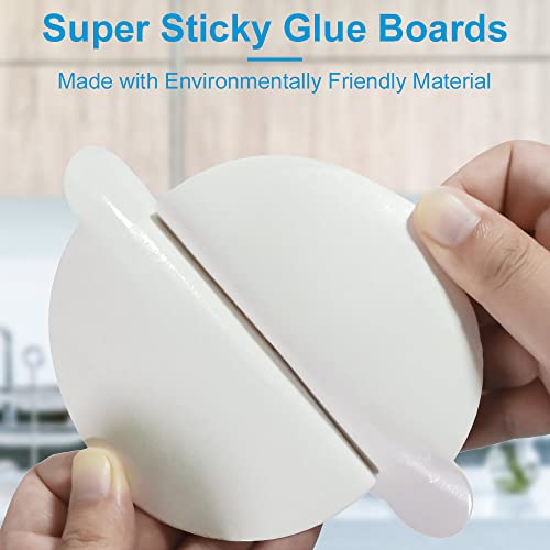 28PCS 4.3" Mosquito Trap Refill Glue Boards for Most Indoor Insect Traps, Mosquito Lamp Sticky Refillable Glue Pads Fits Mosquito Traps with 4.3" or Bigger Bottom Tray