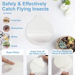 28PCS 4.3" Mosquito Trap Refill Glue Boards for Most Indoor Insect Traps, Mosquito Lamp Sticky Refillable Glue Pads Fits Mosquito Traps with 4.3" or Bigger Bottom Tray