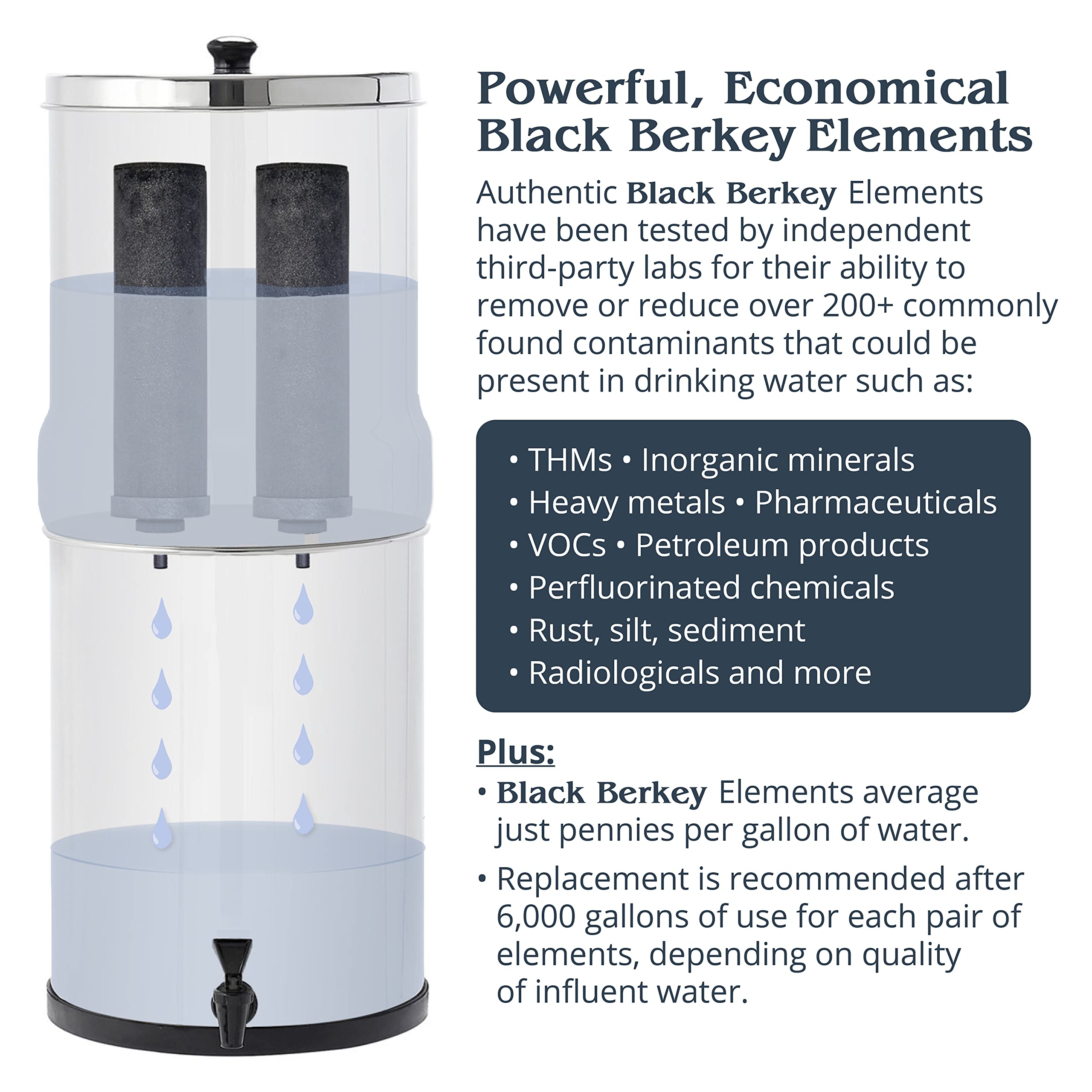 Big Berkey Gravity-Fed Water Filter System with 2 Black Berkey Elements Plus Deluxe 7" Stainless Steel Berkey Water View Spigot