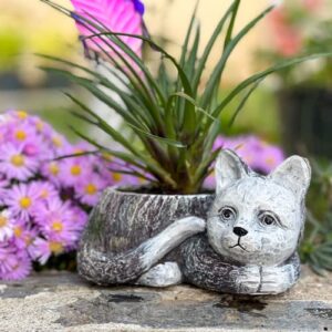 Cat Planter, Outdoor/indoor Planter for Succulents, Cat Grass. 7.7 inch Planter Pot with Drainage Hole, Ideal Gifts for Cat Lovers or Housewarming Gift