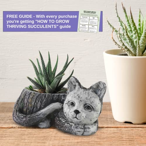 Cat Planter, Outdoor/indoor Planter for Succulents, Cat Grass. 7.7 inch Planter Pot with Drainage Hole, Ideal Gifts for Cat Lovers or Housewarming Gift