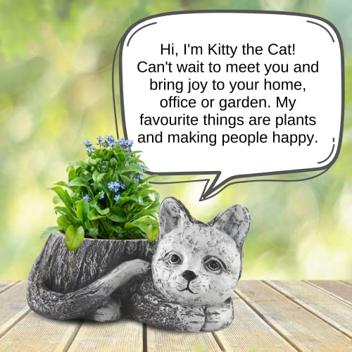 Cat Planter, Outdoor/indoor Planter for Succulents, Cat Grass. 7.7 inch Planter Pot with Drainage Hole, Ideal Gifts for Cat Lovers or Housewarming Gift