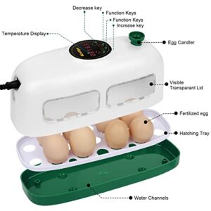 Egg Incubator for Hatching Chicks, 8 Eggs Poultry Hatcher, Cute Little Train Shape Egg Incubator, with Humidity Temperature Control, for Chickens Ducks Goose Quail Birds