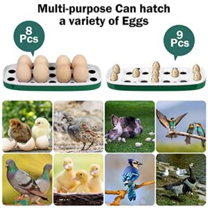 Egg Incubator for Hatching Chicks, 8 Eggs Poultry Hatcher, Cute Little Train Shape Egg Incubator, with Humidity Temperature Control, for Chickens Ducks Goose Quail Birds