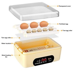 Chicken Egg Incubator, Automatic Egg Hatching Incubator,4-6 Mini Eggs Poultry Hatcher with Temperature Control Humidity Display for Hatching Chicken Quail Duck Bird Eggs