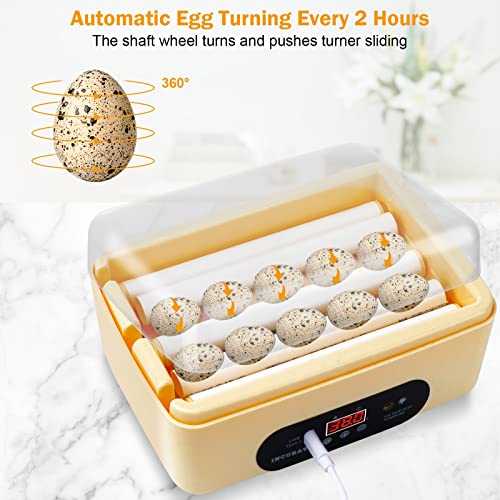 Chicken Egg Incubator, Automatic Egg Hatching Incubator,4-6 Mini Eggs Poultry Hatcher with Temperature Control Humidity Display for Hatching Chicken Quail Duck Bird Eggs