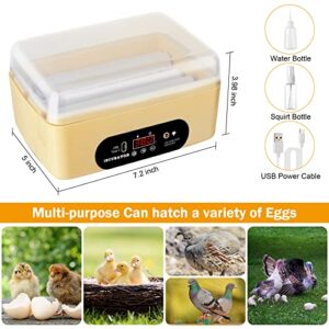 Chicken Egg Incubator, Automatic Egg Hatching Incubator,4-6 Mini Eggs Poultry Hatcher with Temperature Control Humidity Display for Hatching Chicken Quail Duck Bird Eggs