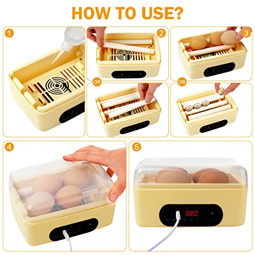 Chicken Egg Incubator, Automatic Egg Hatching Incubator,4-6 Mini Eggs Poultry Hatcher with Temperature Control Humidity Display for Hatching Chicken Quail Duck Bird Eggs