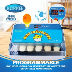 uzumati egg incubator,12-35 eggs full automatic chick incubator with auto egg turner, led candler,temperature humidity control incubator for hatching chickens, goose, duck, quail, turkey