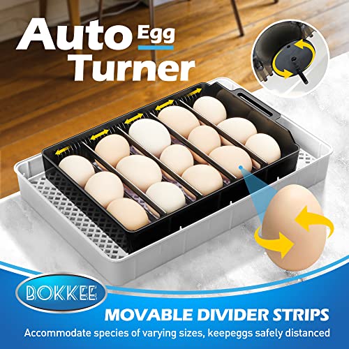 Uzumati Egg Incubator,12-35 Eggs Full Automatic Chick Incubator with Auto Egg Turner, Led Candler,Temperature Humidity Control Incubator for Hatching Chickens, Goose, Duck, Quail, Turkey