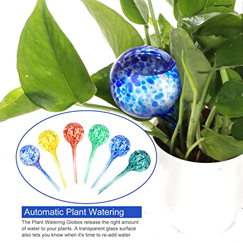 6 Pack Plant Watering Globes -Self Watering Globes Auto-Drippers System Water Globes for Plants-Glass Watering Globes for Plants Watering Irrigation Device for Indoor Outdoor Size 6" L x 2.4" D