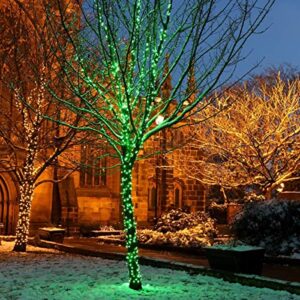 weillsnow Green Christmas Lights, 200 LED 66Ft Plug in Waterproof St Patrick's Lights, 8 Modes with Memory for Outdoor Indoor Garden Tree Patio Irish Christmas Decorations (66FT, Green)