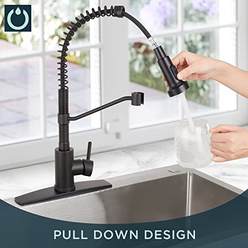 FORIOUS Black Kitchen Faucet with Pull Down Sprayer, Single Handle Single Lever Kitchen Sink Faucet with Deck Plate, Matte Black Commercial rv Stainless Steel Kitchen Faucets, 1 Or 3 Hole Compatible