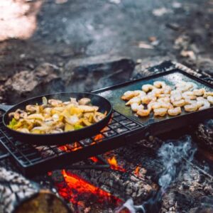 Adventure Seeka Swivel Grill - Heavy Duty, Fully Adjustable Campfire Cooking Grate and Rack