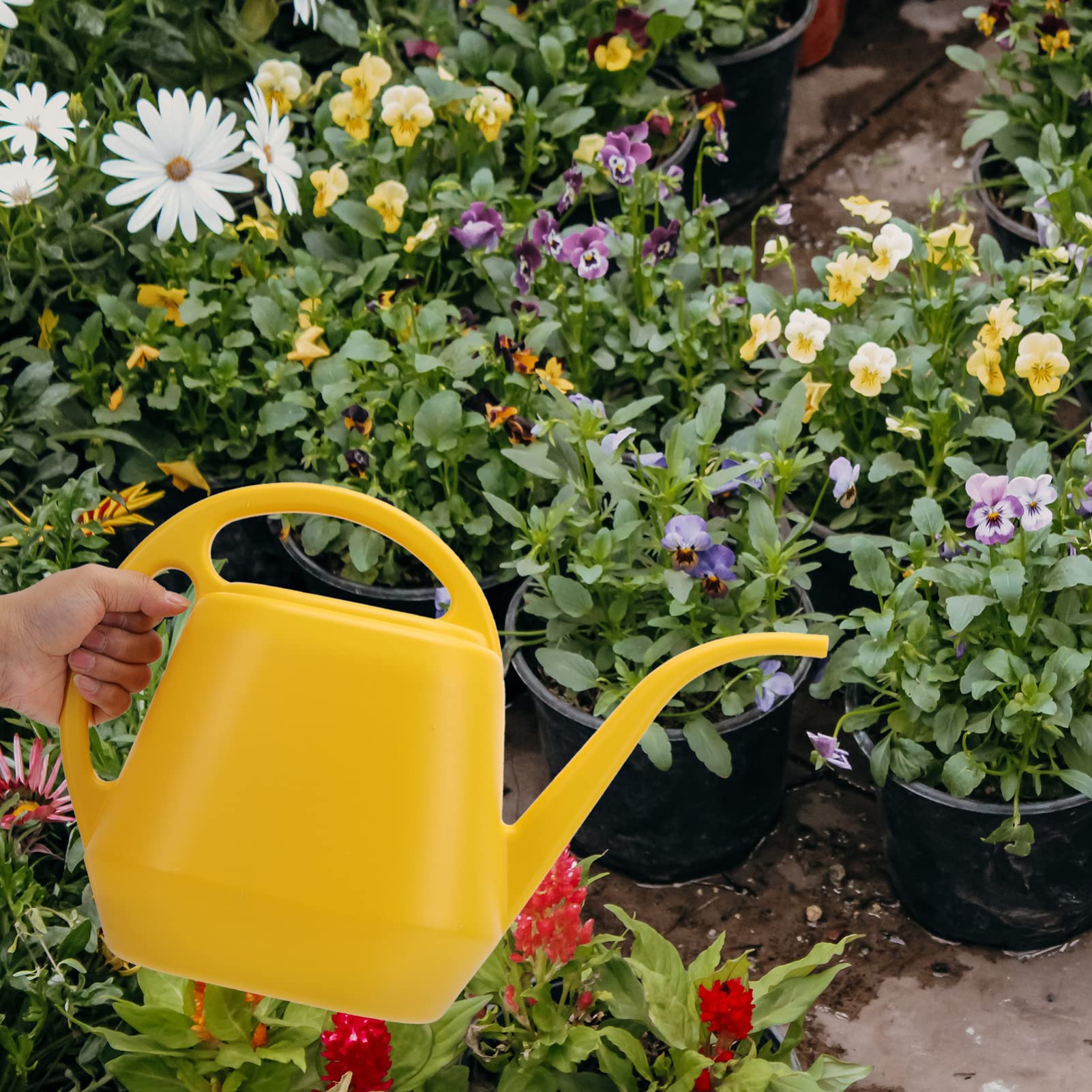 DOITOOL Plant Watering Can Plastic Watering Pot Spout Water Cans Watering Kettle Plastic Small Watering Sprinkler Pot for Indoor Bonsai Plants Garden Flowers Yellow Spray Bottles