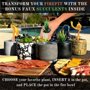 Denali Firebowls Tabletop Pit with Faux Succulents - Indoor/Outdoor Table Top Patio with S'Mores Sticks and Extinguisher (Midnight Black Firepit), 4x5 in