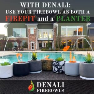 Denali Firebowls Tabletop Pit with Faux Succulents - Indoor/Outdoor Table Top Patio with S'Mores Sticks and Extinguisher (Midnight Black Firepit), 4x5 in