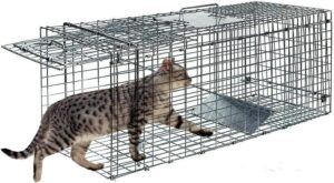 live animal trap cage humane cat trap rabbit trap humane mouse trap live traps for raccoons small animal trap squirrel traps outdoor groundhog trap, 24'' steel humane release rodent cage