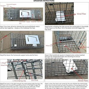 Live Animal Trap Cage Humane Cat Trap Rabbit Trap Humane Mouse Trap Live Traps for Raccoons Small Animal Trap Squirrel Traps Outdoor Groundhog Trap, 24'' Steel Humane Release Rodent Cage