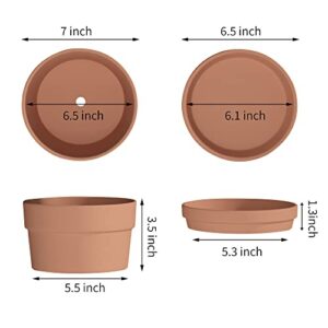 Fcacti 7 Inch Terracotta Shallow Succulent Pot with Saucer/Tray - 2 Pack Large Terra Cotta Clay Pots with Drainage Hole, Round Shallow Terra-Cotta Bonsai Pot for Indoor/Outdoor Plants