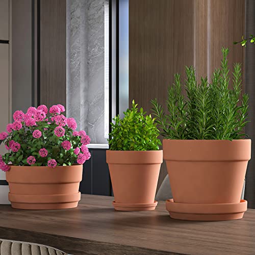 Fcacti 7 Inch Terracotta Shallow Succulent Pot with Saucer/Tray - 2 Pack Large Terra Cotta Clay Pots with Drainage Hole, Round Shallow Terra-Cotta Bonsai Pot for Indoor/Outdoor Plants