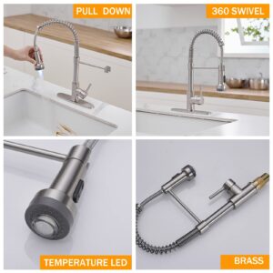 Hoimpro Brushed Nickel Single Handle Kitchen Faucet with Pull Down Sprayer, 2-Function, 360-degree Rotation, Brass, Single or 3 Hole