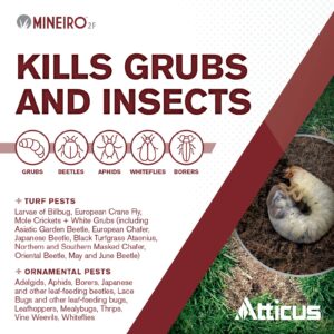 Mineiro 2F Imidacloprid Systemic Insecticide (1 Gal) by Atticus (Equivalent to The Leading Brand) – Grub and Insect Control in Lawns and Landscapes